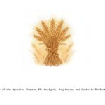 Acts of the Apostles Chapter 15: Analysis, Key Verses and Catholic Reflection