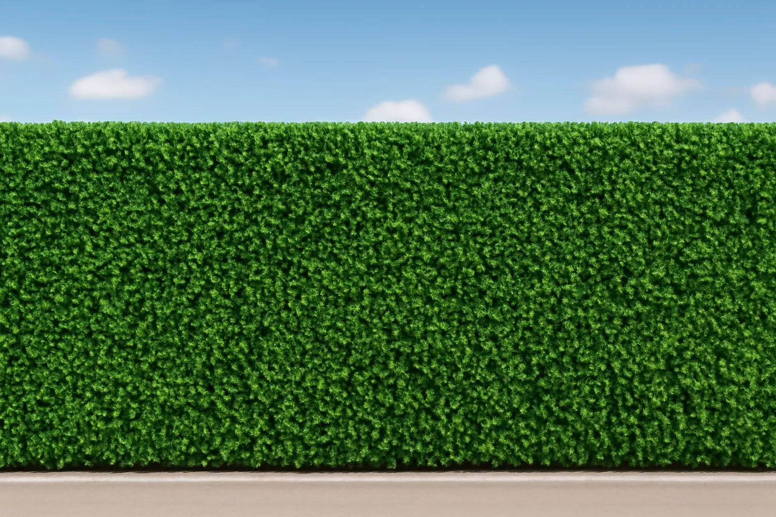 artificial hedges for privacy