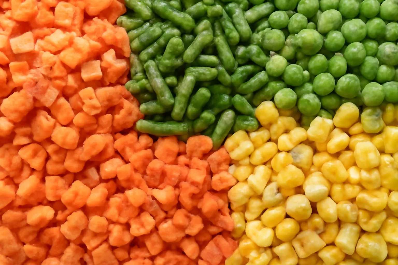 freeze dried vegetables bulk