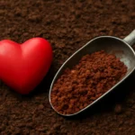 heart and soil iron
