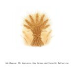 Job Chapter 38: Analysis, Key Verses and Catholic Reflection Job Chapter 38: Analysis, Key Verses and Catholic Reflection