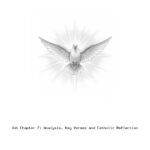 Job Chapter 7: Analysis, Key Verses and Catholic Reflection