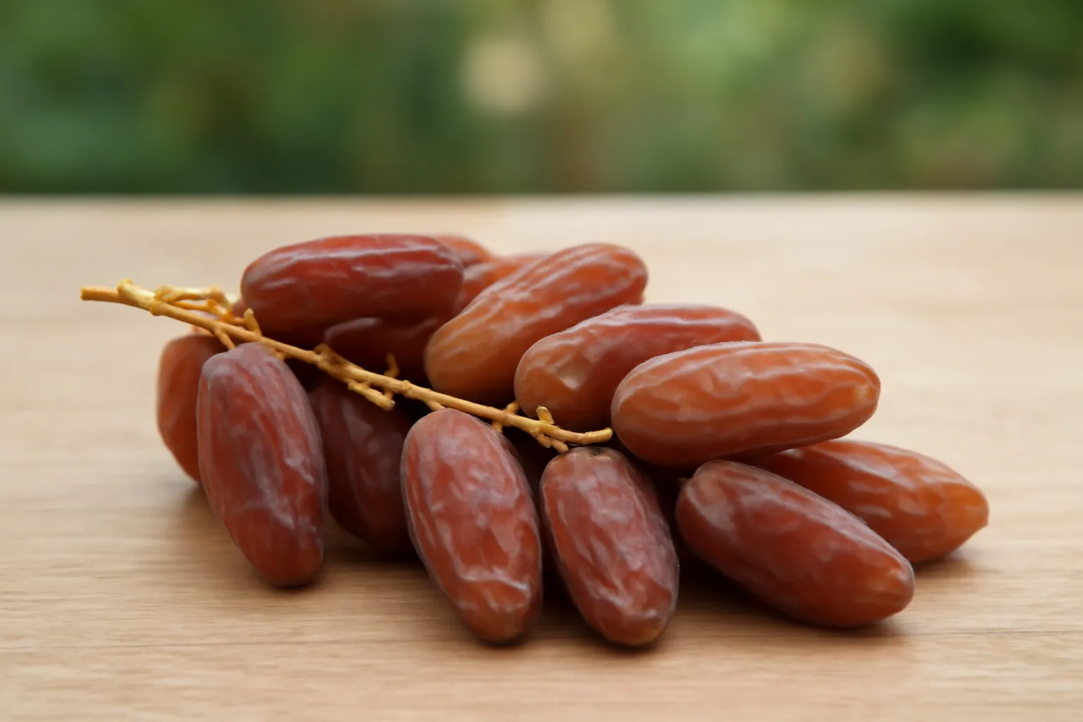 jordan river dates